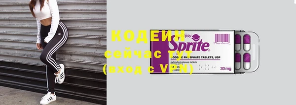 винт Верея