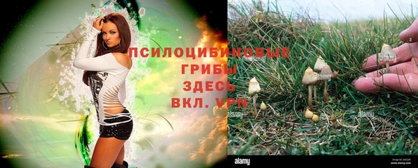 винт Верея