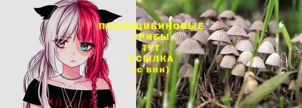 каннабис Верхний Тагил