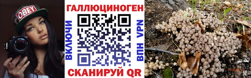 Галлюциногенные грибы Psilocybine cubensis  даркнет сайт  Архангельск 